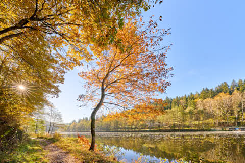 Gemeinde Geiersthal Landkreis Regen Gumpenried-Asbach Schwarzer Regen Bayerisch Kanada (Dirschl Johann) Deutschland REG